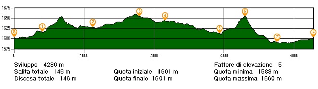 Altimetria itinerario orienteering Campolongo - Campovecchio