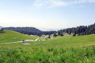 Nach dem Ausscheiden aus Weiden und Wiesen