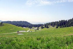 Pascoli e praterie dopo Rifugio Larici