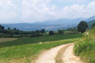 Panoramic Trail