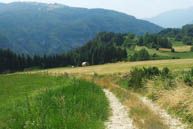 Path Towards Castelletto