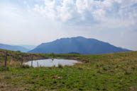 D Alpine pond