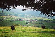 Vista verso Asiago