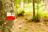 Signal-cai-Trail 832