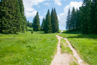 Strada Verso Mina a Destra Dopo Bivio