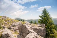 Trenches Monte Zebio