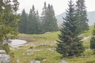 Natural landscape with Pool d Pasture