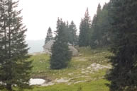 Pozz d sichtbar aus Weide Trail Daumen