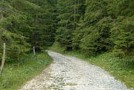 Der Waldweg in Richtung Kreuz von Civello