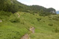 Dirt path to Monte Ortigara