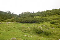 Verso Vallona Agnellizza tra Ortigara e Caldiera