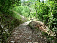 Antica Mulattiera Piovega di Sopra Enego