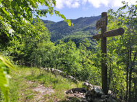 Wooden cross overlooking cismon's Conca below