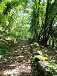 Mulattiera des Trail Piovega unten in Enego
