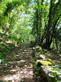 Mulattiera of the Trail Piovega below in Enego