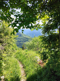 Below Rain Trail für Familien