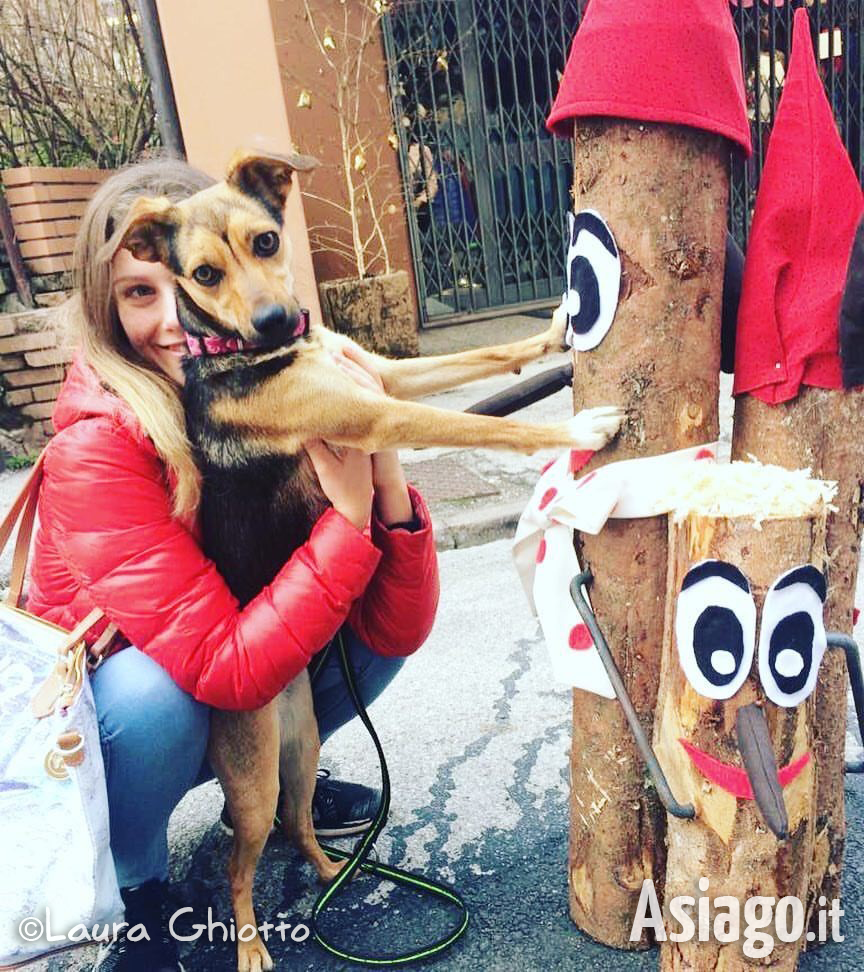 Märchen wie Asiago auf alle Fotos von Laura Gallegos