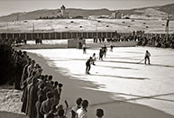 Hockey rink with Overview