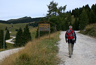 The road rises to top of larch trees Today