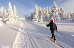 Region Venetien, Klarstellung auf dem Dpcm: Langlaufloipen können geöffnet werden. Auf dem Asiago Plateau können Sie Ski fahren!