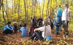 Bagno di foresta con Asiago Guide Bagno di foresta con Asiago Guide