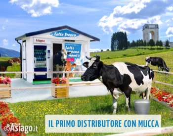 Distributore latte con mucca all'interno