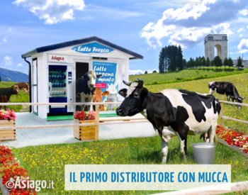 Distributore latte con mucca all'interno Distributore latte con mucca all'interno