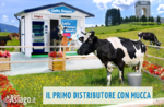 Inaugurato ad Asiago il primo distributore di latte appena munto con mucca all