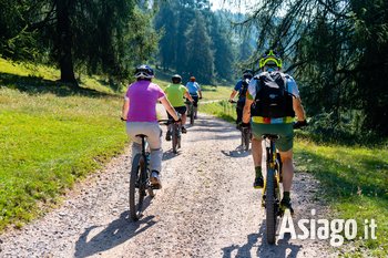 Escursione guidata in ebike Roana