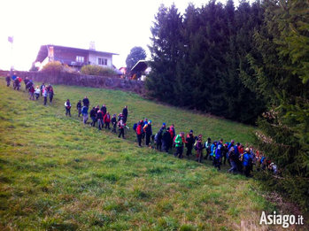 Escursione lungo l'Antica Strada del Costo sull'Altopiano di Asiago Escursione lungo l'Antica Strada del Costo sull'Altopiano di Asiago