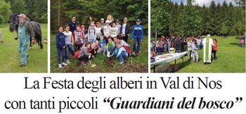 Festa alberi a Gallio Festa alberi a Gallio