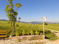 Fioriera Strada del Trenino Altopiano di Asiago