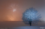 I vincitori del concorso fotografico di "Asiago...Fiocchi di Luce 2017"