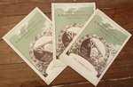 Anastatic copies of the "Roana Bridge" of 1924 are still available