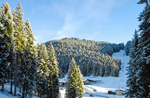 Pressekonferenz am 23. Januar in Asiago Melette Ski-2018