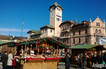 The Christmas Gardens of Asiago go on TV