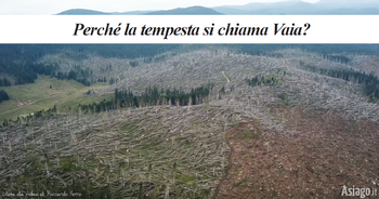 Perché la tempesta Vaia si chiama così Perché la tempesta Vaia si chiama così