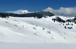 LARCHES PARK: at last the Asiago plateau has his snowpark!