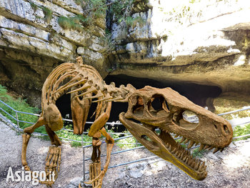 Ritrovamento dinosauro sull'Altopiano di Asiago