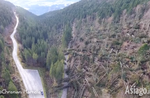 Bad weather on the Asiago plateau: thousands fallen trees, severe damage to power lines