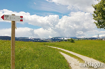 La Strada del Trenino Altopiano di Asiago