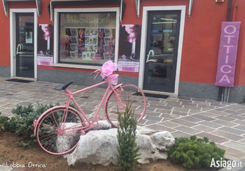 Vetrina Lobbia Ottica Per il Giro d'Italia ad Asiago Vetrina Lobbia Ottica Per il Giro d'Italia ad Asiago