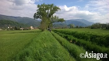 Bici,  Arte e Sapori