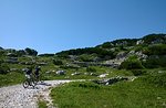 Cicloescursione Mountainbike-Trails auf der Hochebene von Asiago 