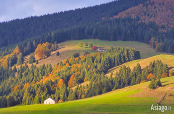 autunno sull altopiano di asiago