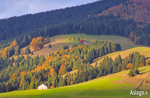 Autumn on the Asiago plateau recounted in an exciting video 