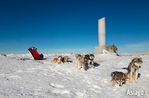 Dog sledding on Mount Ortigara-Video excursion with dog sledding on the Asiago plateau