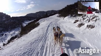 Escursione coi cani da slitta sull'Altopiano di Asiago