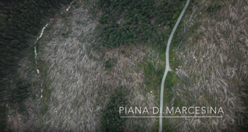 Video sui danni di Vaia sulla Piana di Marcesina 