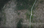 The Plain of Marcesina seen from above almost a year after Storm Vaia 